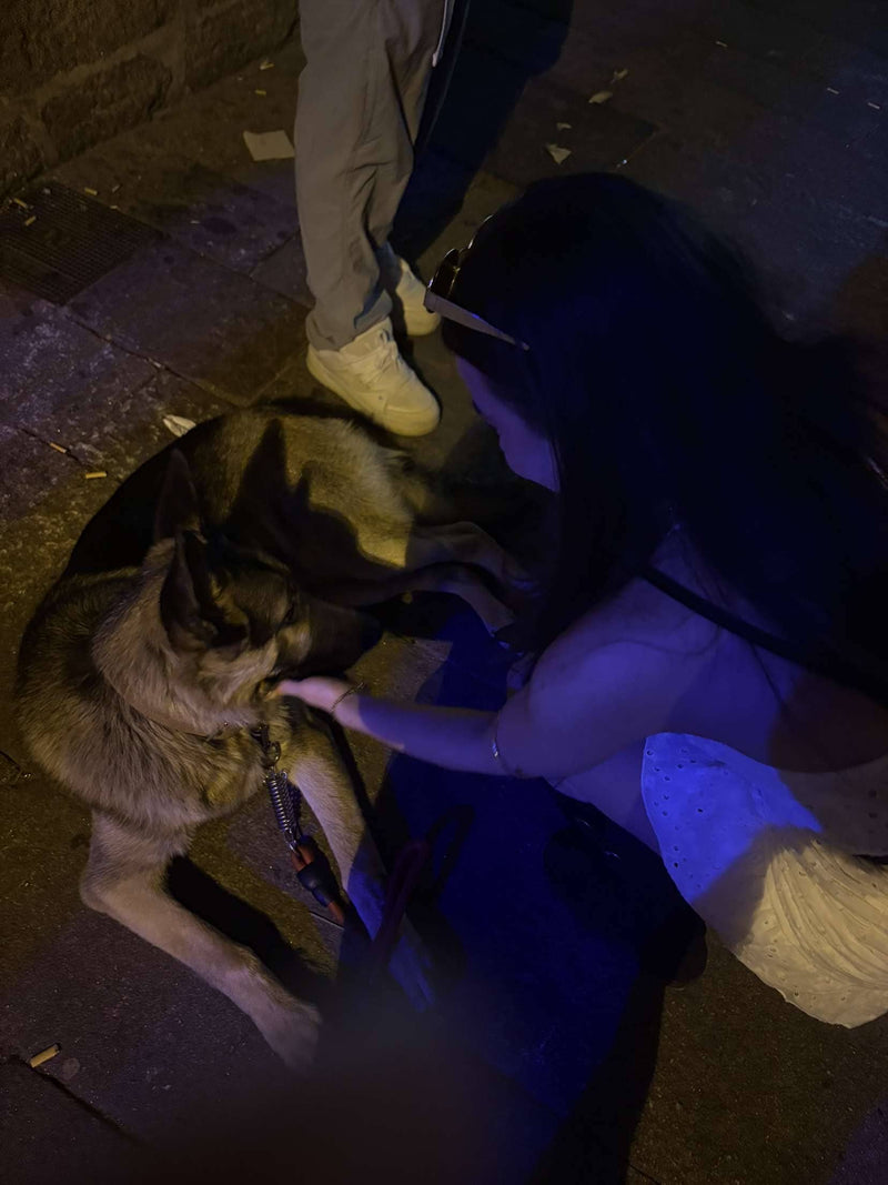 Dog lying on a blanket next to a person on a stone pavement at night.